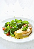 Turkey escalope with mustard sauce, basil and tomatoes