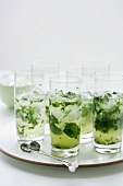 Mint Julep (Cocktail made with bourbon and mint)