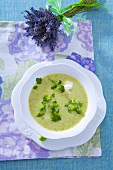 Broccoli soup with sour cream
