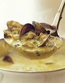 A ladleful of clam chowder