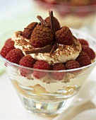 Himbeer-Tiramisu