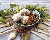 Still life with garlic, hops and Swedish whitebeam