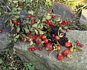 Assorted berries on a stone