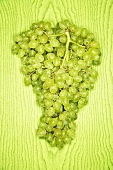Green grapes on green background