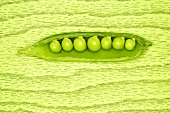Opened pea pod with green peas inside
