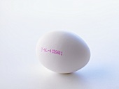 A white egg with stamp showing origin (3 = cage-reared) 
