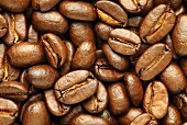 Roasted coffee beans (filling the picture)