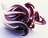 Radicchio di Treviso