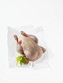 A whole chicken on greaseproof paper