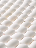 White eggs, lying on their sides, filling the picture