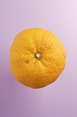 A yuzu (rare citrus fruit from Japan)