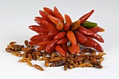 Fresh and dried red chili peppers
