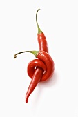 Two chillies on white background