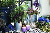 Fensterdeko mit Lavendel und Kräutern