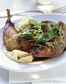 Braised guinea-fowl with mashed potato