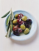 Olives and olive sprig on plate