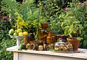 Getrocknete Kräuter und Zitrusfrüchte auf Gartentisch
