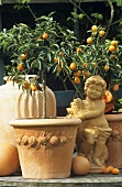 Kumquat trees in terracotta pots and terracotta figure