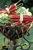 Red chillies and green peppers in decorative bowl