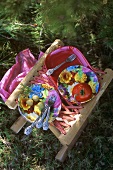 Picnicware, tomato and olives on folding stool in grass