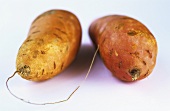 Kumera (sweet potato)