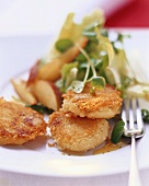 Curd cheese cakes with endive salad