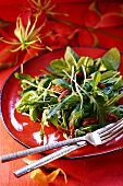 Salad leaves with rocket and dried tomatoes
