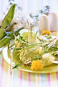 Mixed green salad with dandelion leaves and radishes