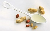 Peanut oil in spoon and peanuts