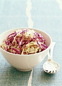 Red and white cabbage salad