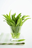 Fresh ramsons (wild garlic) leaves in a glass of water
