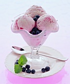 Blueberry sundae