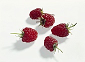 Five raspberries on white background