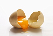 An egg, broken open, with shell