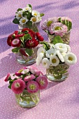 Small posies of various types of Bellis