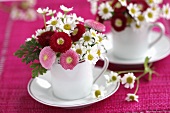 Small posies of chamomile and Bellis in cups