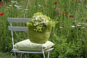 Bag filled with marguerites and lady’s mantle