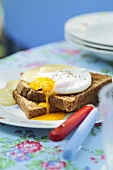 Welsh rarebit with poached egg
