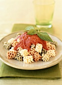 Radiatori with tomato sauce and basil