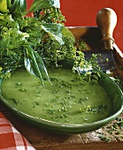 Creamed herb soup