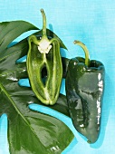 One half and one whole poblano