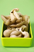 Oyster mushrooms in a green dish