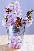 Cherry blossom in a metal vase