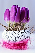 Tulips in a china egg