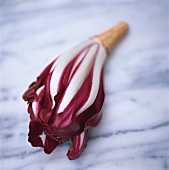 Radicchio Trevisano