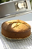 Biskuit für Victoria Sponge Cake (Biskuitkuchen, England)