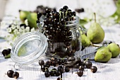 Blackcurrants and pears