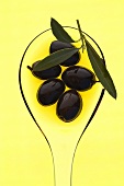 Schwarze Oliven in Olivenöl mit Zweig