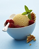 Vanilla ice cream with raspberries