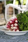 A bunch of radishes on a plate